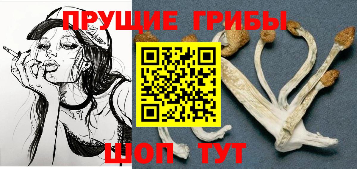 Псилоцибиновые грибы Psilocybine cubensis  Вход с VPN  Петропавловск-Камчатский 