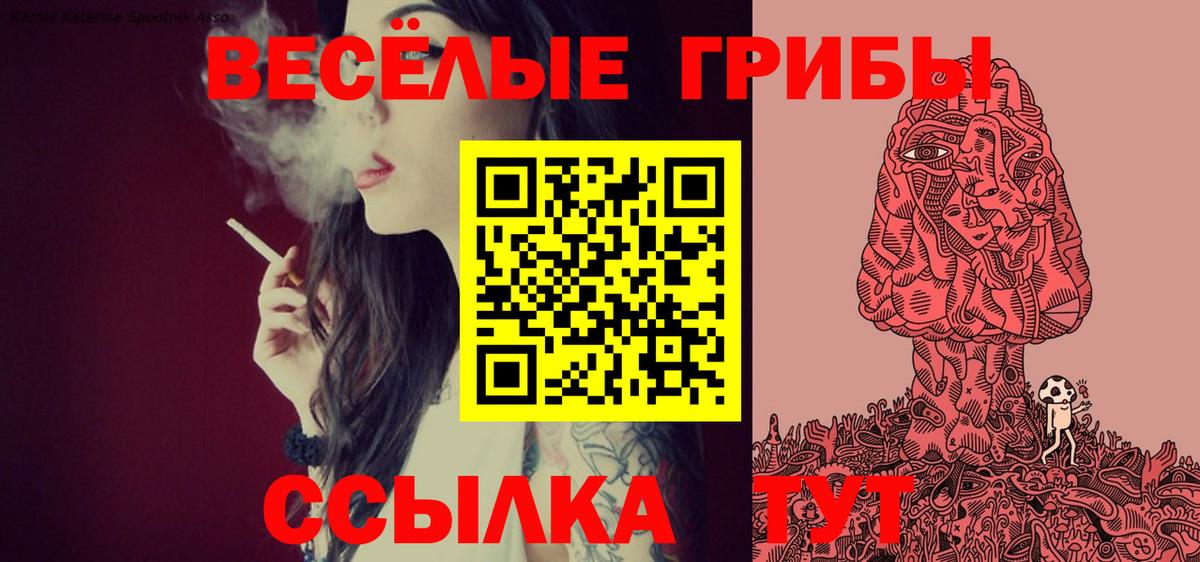 Галлюциногенные грибы GOLDEN TEACHER Петропавловск-Камчатский